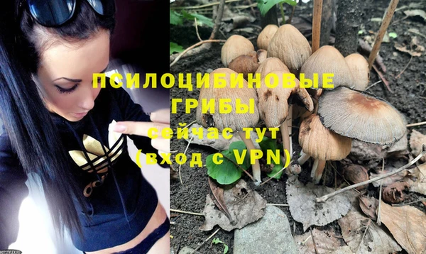 марки nbome Балахна